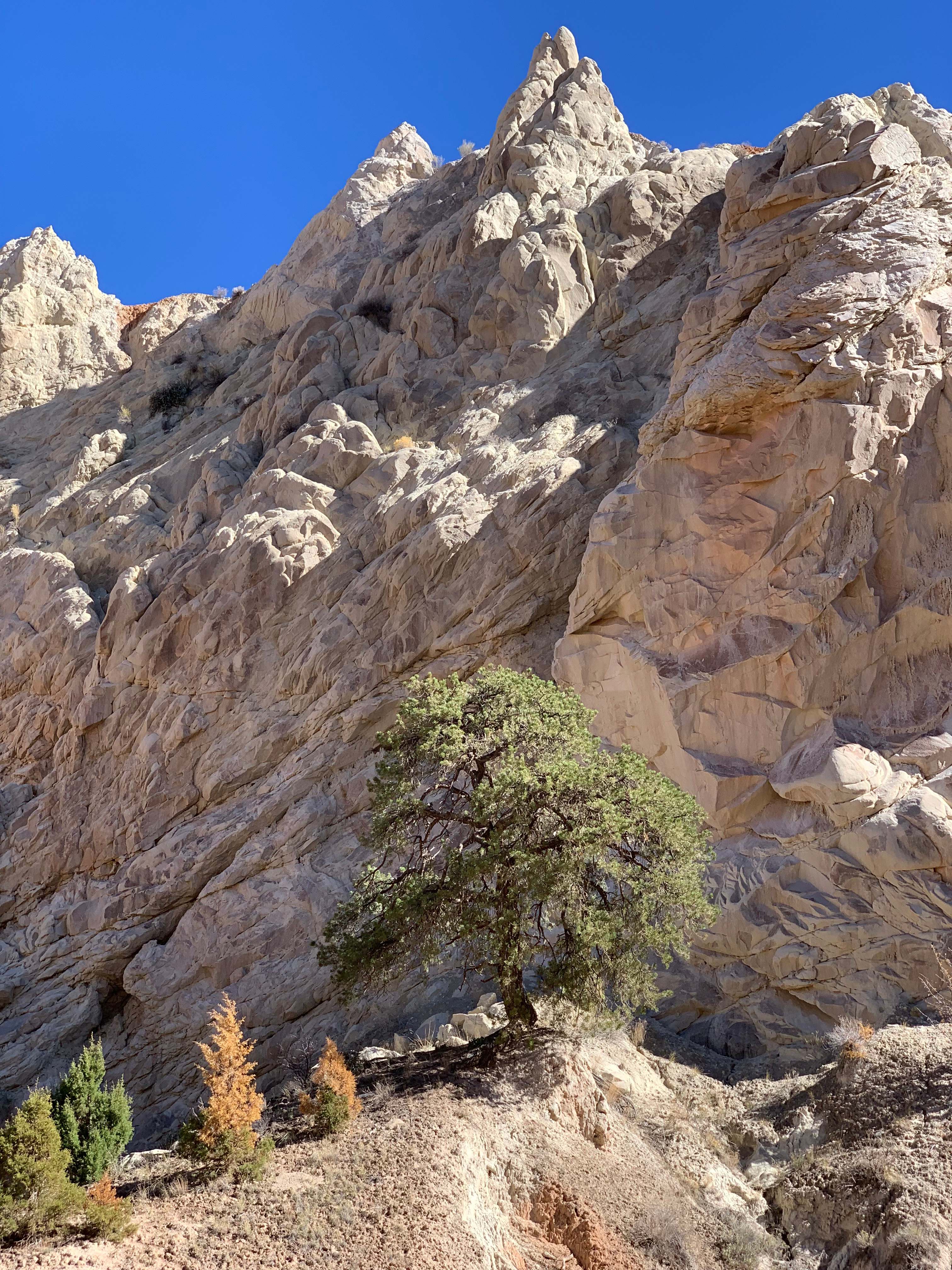 Escalante